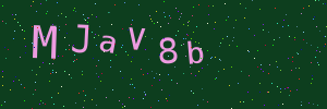 Validation image