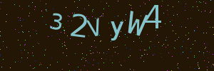 Validation image