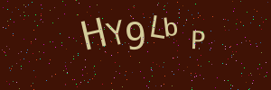 Validation image