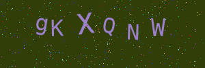 Validation image
