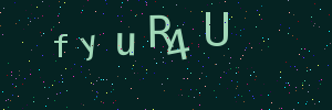 Validation image