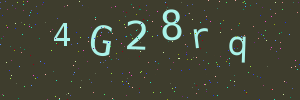 Validation image