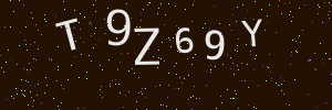 Validation image