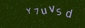 Validation image