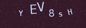 Validation image
