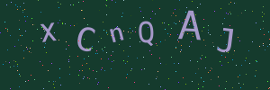 Validation image