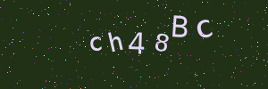 Validation image