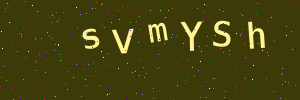 Validation image