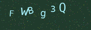 Validation image