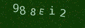Validation image