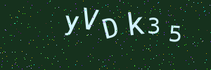 Validation image