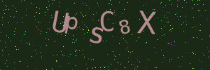 Validation image