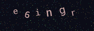 Validation image