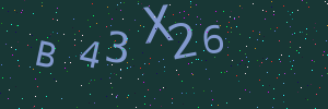 Validation image