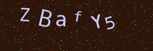Validation image