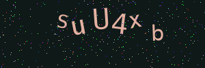 Validation image