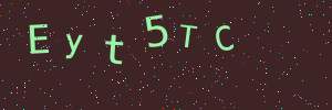Validation image