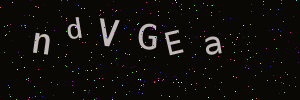 Validation image