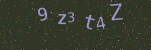 Validation image