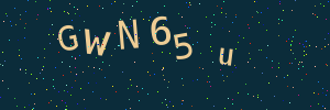 Validation image