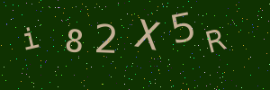 Validation image