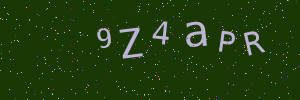 Validation image