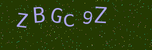 Validation image