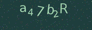 Validation image