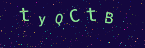 Validation image