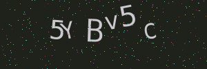 Validation image