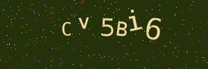 Validation image