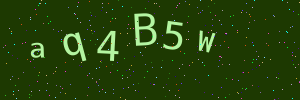 Validation image
