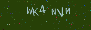 Validation image