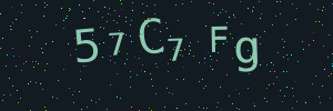 Validation image