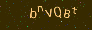 Validation image