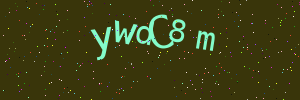 Validation image