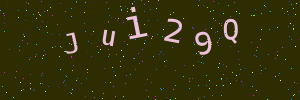 Validation image