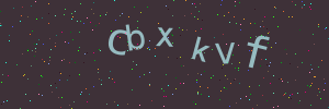 Validation image