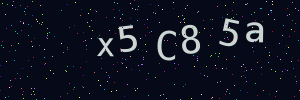 Validation image