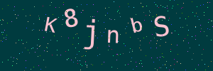 Validation image