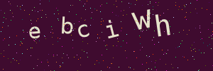 Validation image