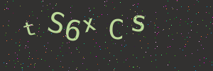 Validation image