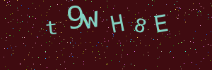 Validation image