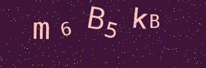 Validation image