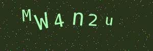 Validation image