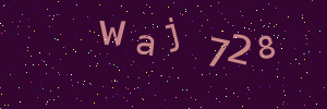 Validation image