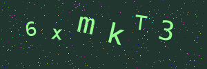 Validation image
