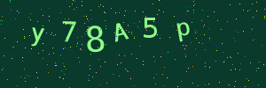 Validation image