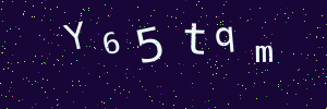 Validation image