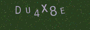 Validation image
